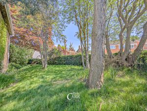 Side Garden- click for photo gallery